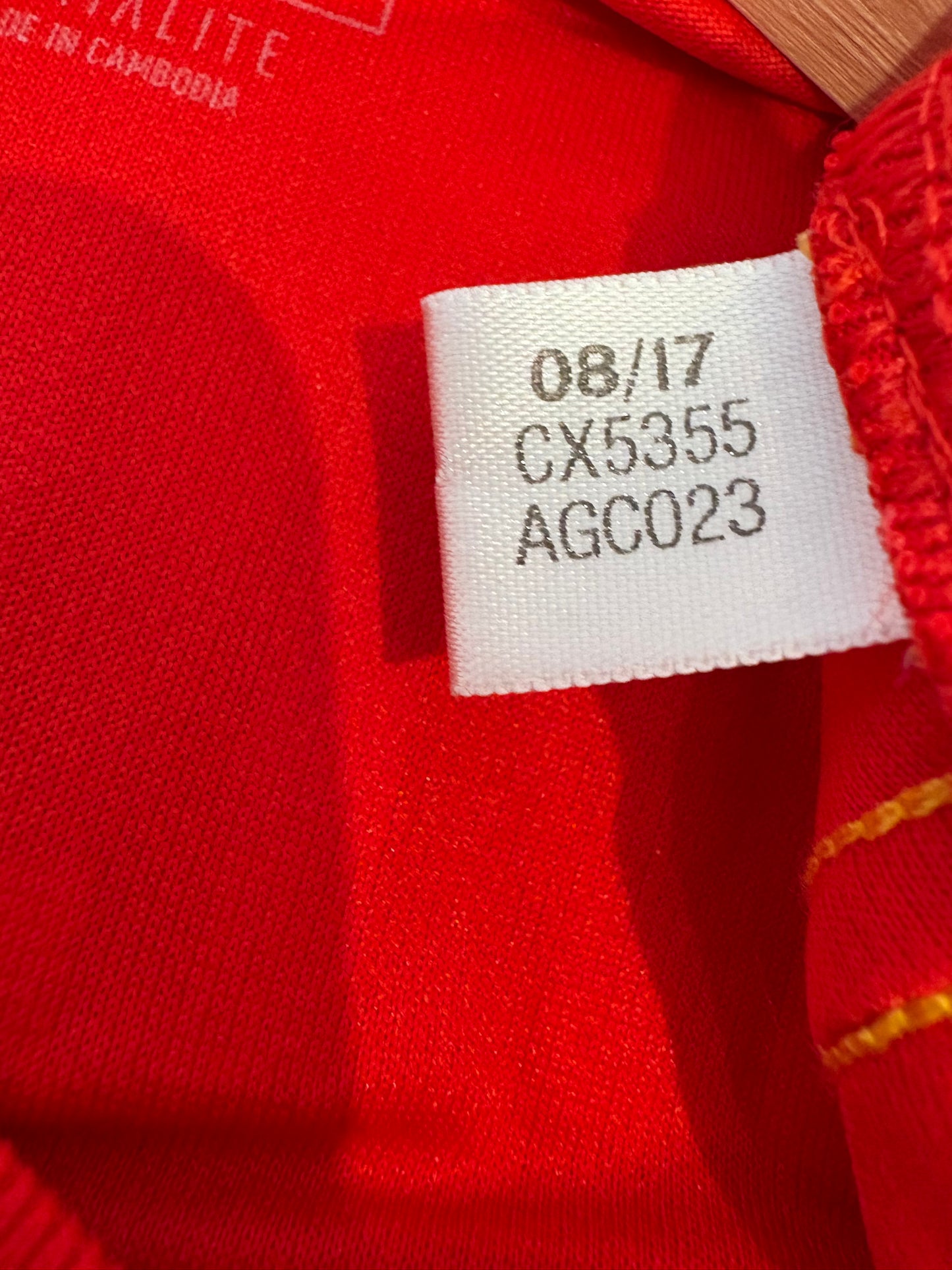 Authentic A.Iniesta #6 Spain 2018/19 Home Football Shirt