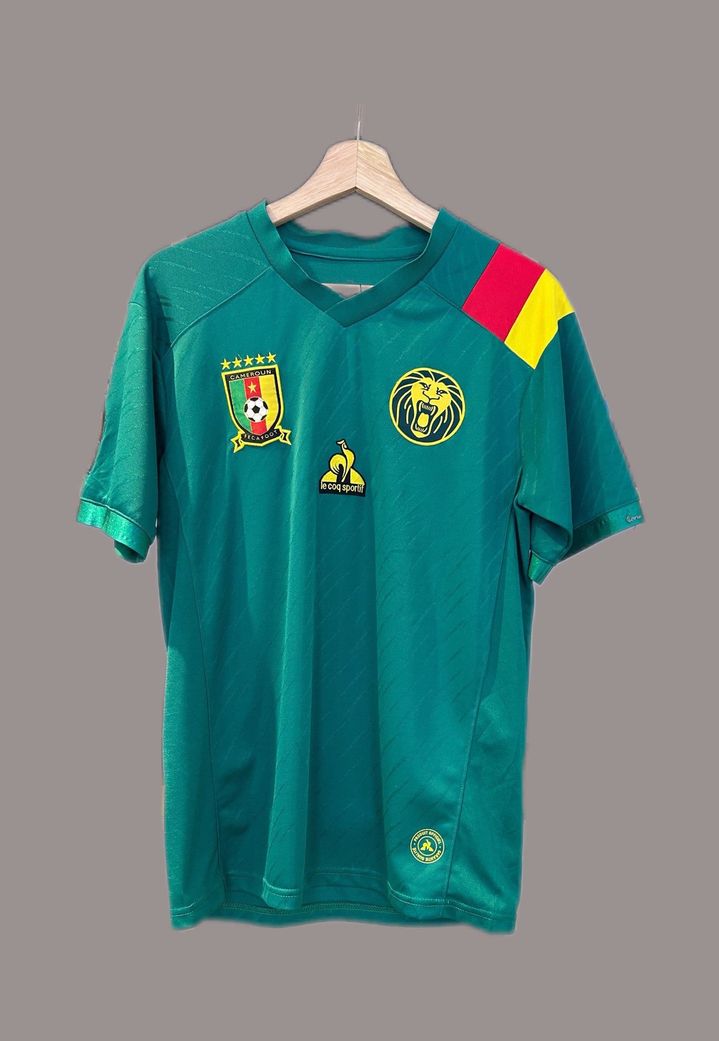 Authentic Cameroon 2021/22 Home Football T-Shirt