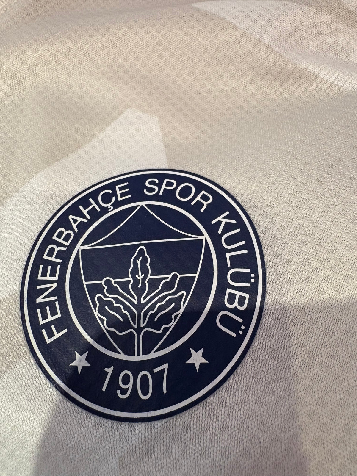 Authentic Özil #10 Fenerbahçe 2021/22 Away Football