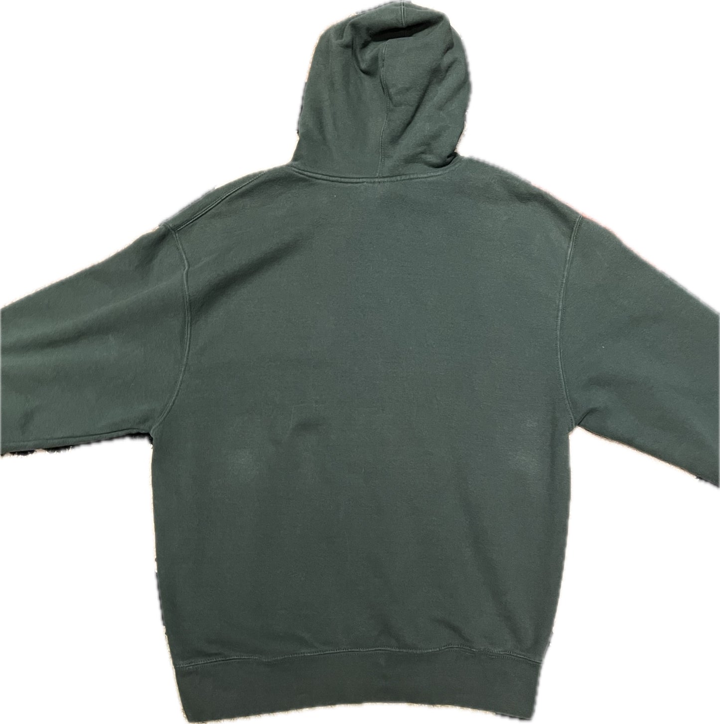 Vintage Michigan State Spartans Hoodie Green Mens L