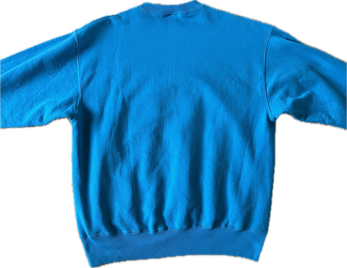 Vintage Y95 Hanes Long Sleeve Blue Men‰۪s M