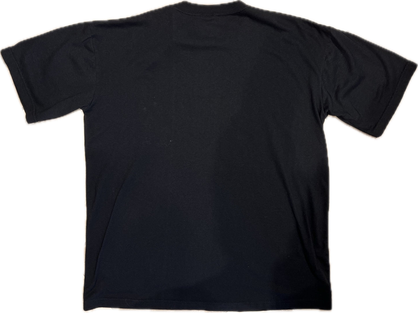 Vintage Nova Scotia Early 2000s T-Shirt Men‰۪s L