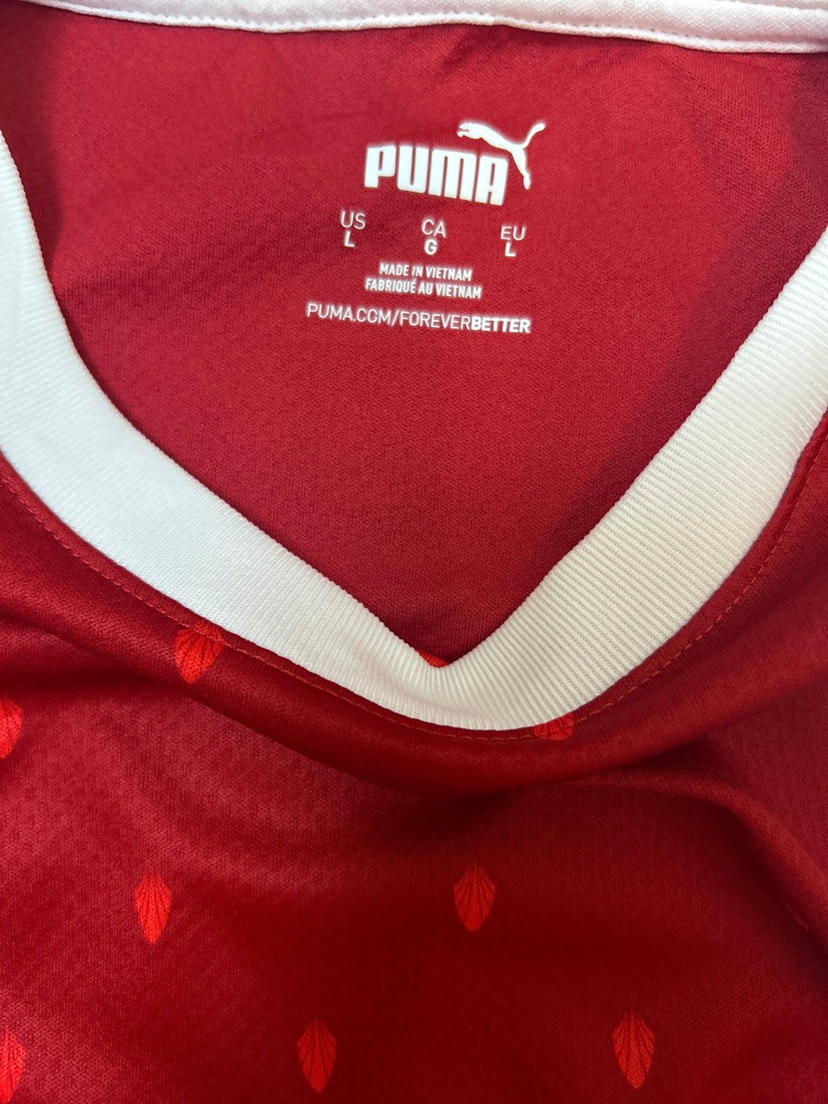 Authentic Laimer #24 Austria 2021/22 Home Football