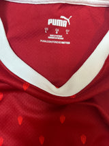 Authentic Laimer #24 Austria 2021/22 Home Football
