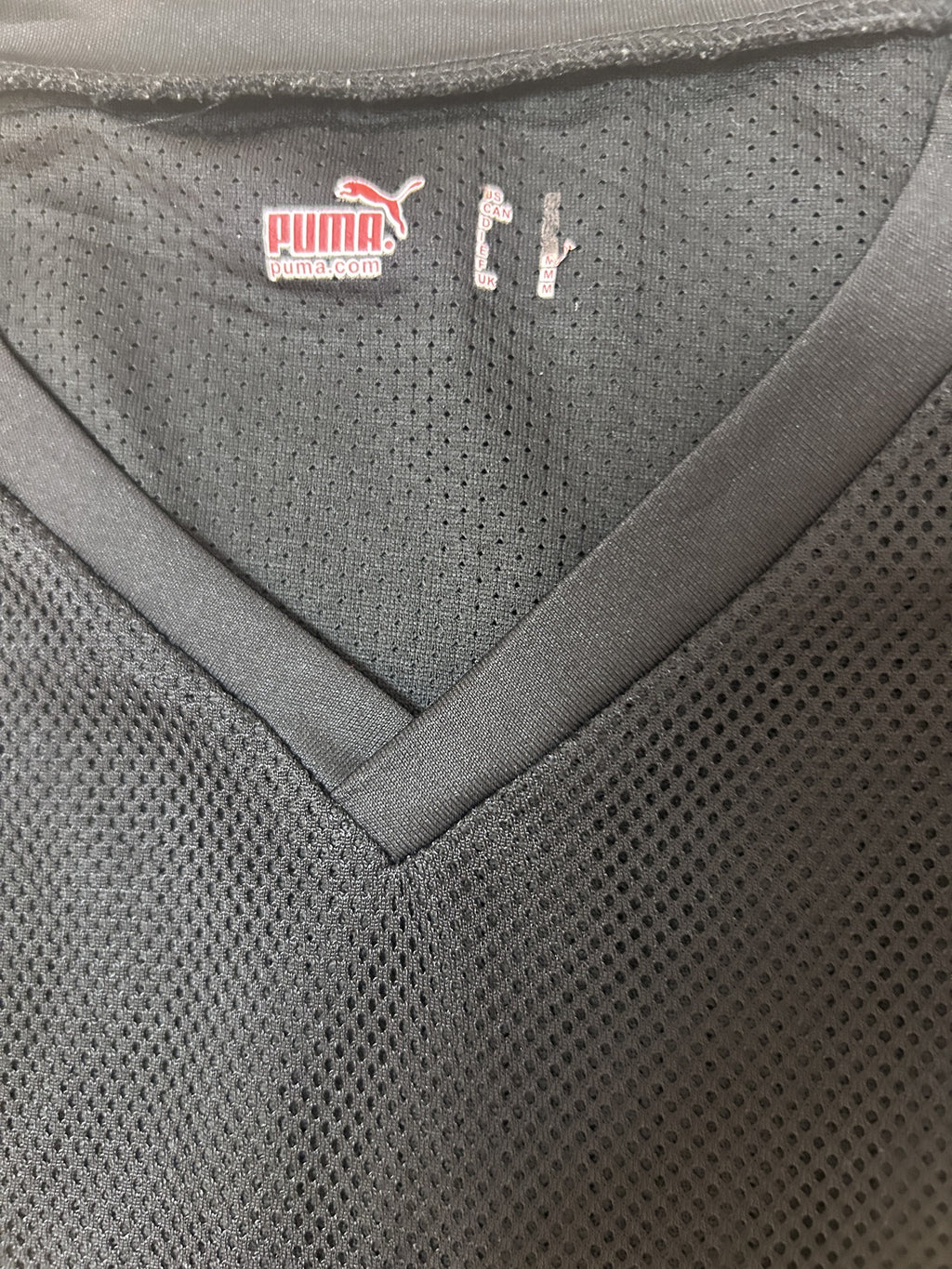 Puma collar