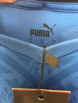 Authentic Chiellini #3 Italy 2020/21 Home Football