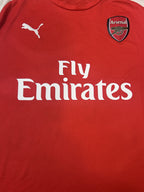 Arsenal crest and Fly Emirates sponsor close-up