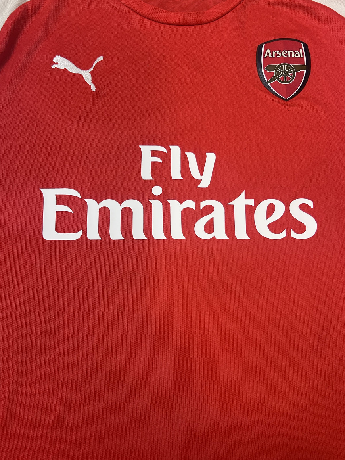 Arsenal crest and Fly Emirates sponsor close-up